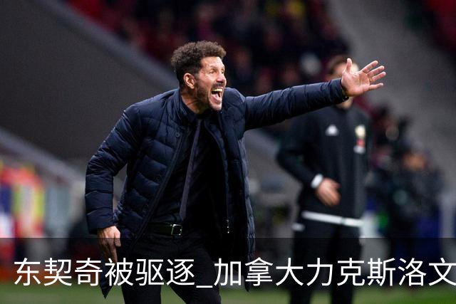 东契奇被驱逐 加拿大力克斯洛文尼亚晋级四强