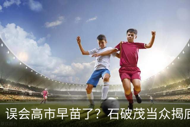误会高市早苗了？石破茂当众揭底，这女人不光爱挑事，还蠢得离谱