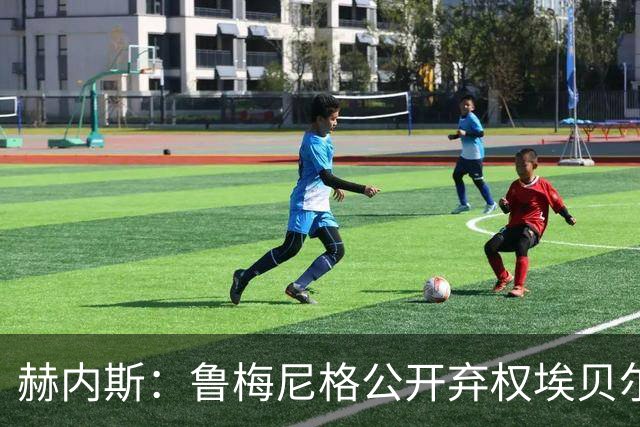赫内斯：鲁梅尼格公开弃权埃贝尔投票没必要