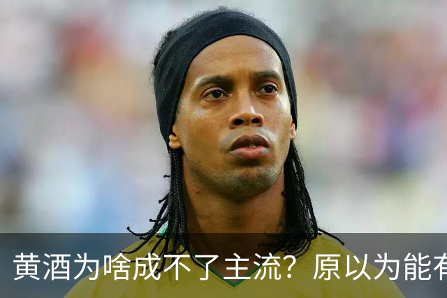 黄酒为啥成不了主流？原以为能有共鸣，谁料评论一边倒